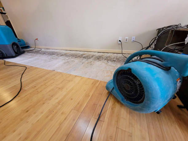Professional Burst Pipe Water Damage technician working in Montague, CA
